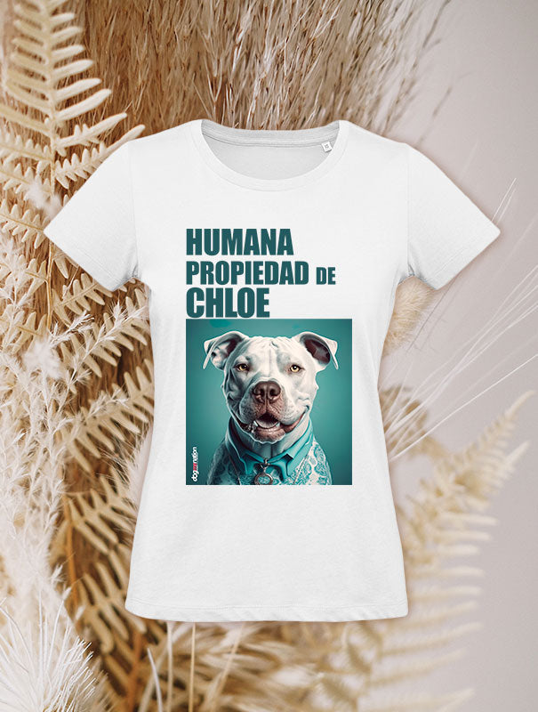 Camiseta Mujer PITBULL