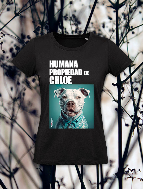 Camiseta Mujer PITBULL