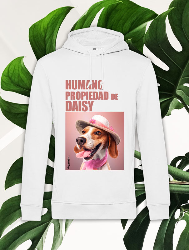 Sudadera Hombre BEAGLE B