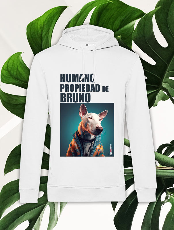 Sudadera Hombre BULL B