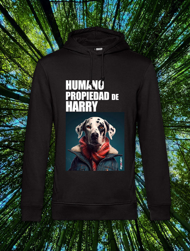 Sudadera Hombre DALMATA