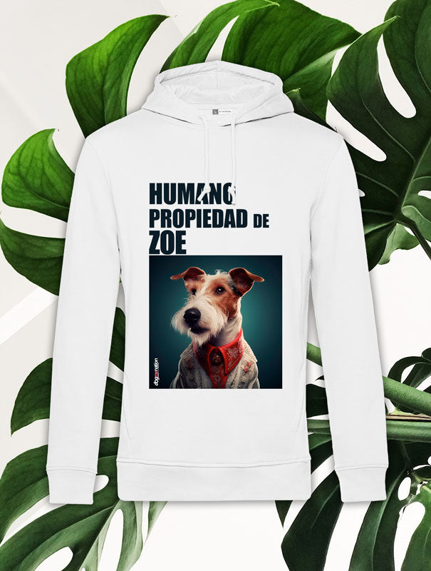 Sudadera Hombre FOX