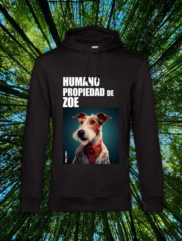 Sudadera Hombre FOX