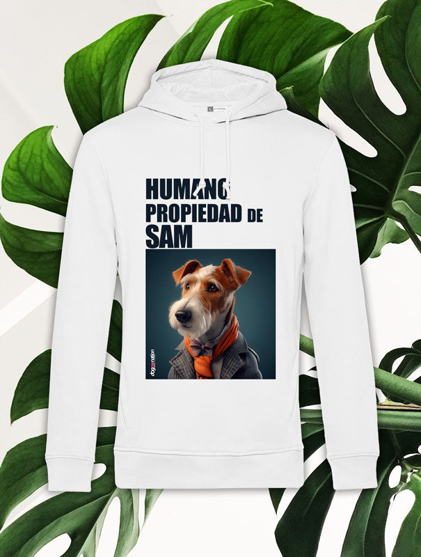 Sudadera Hombre FOX B