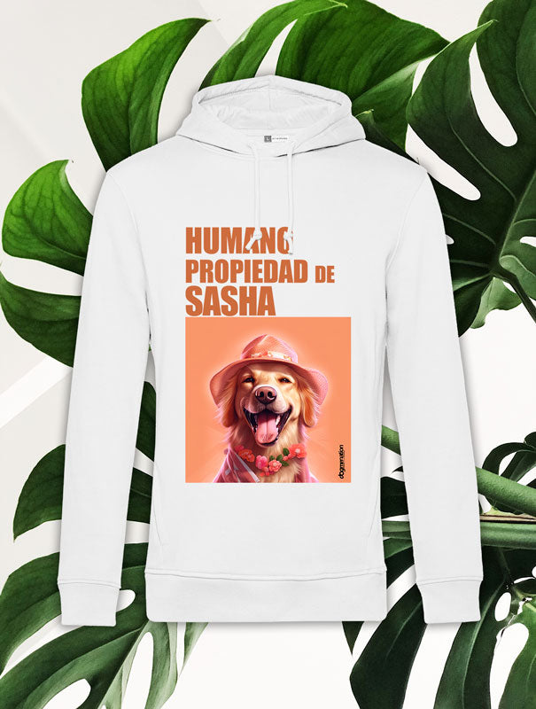 Sudadera Hombre GOLDEN