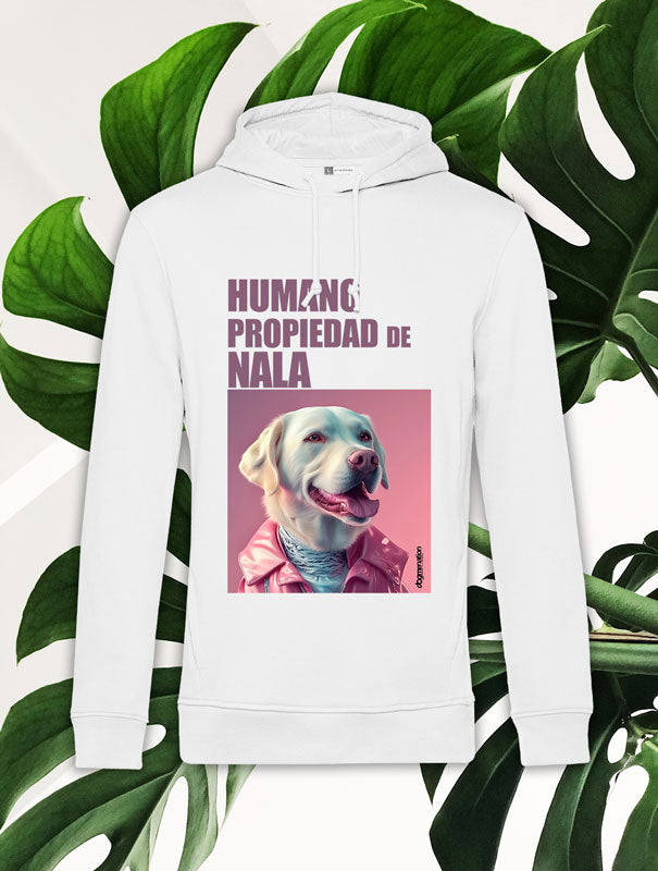 Sudadera Hombre LABRADOR B