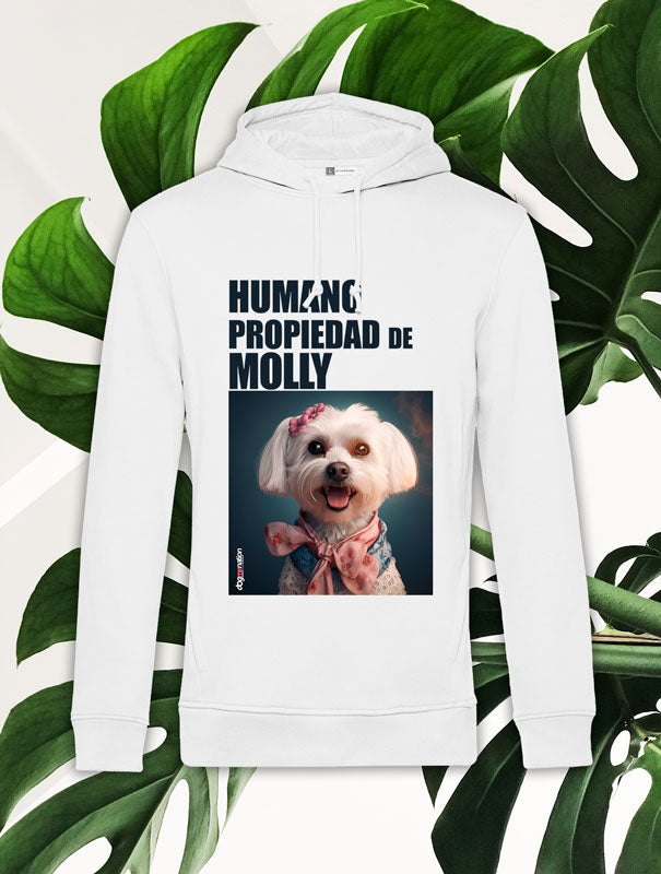 Sudadera Hombre MALTESE