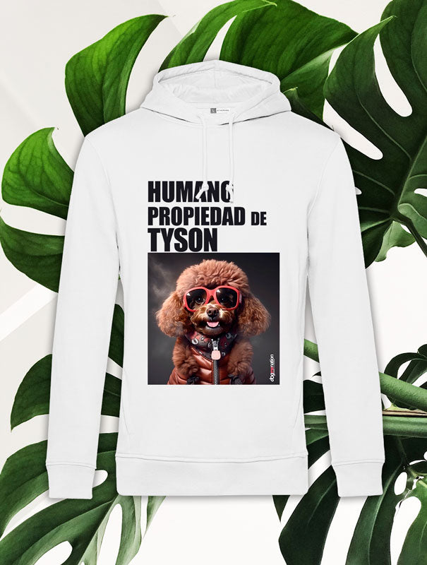 Sudadera Hombre POODLE B