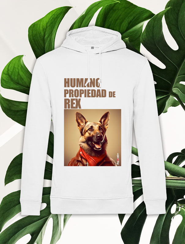 Sudadera Hombre SHEPHERD B