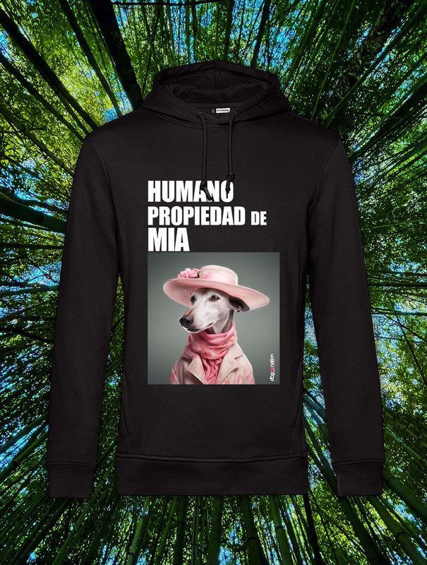 Sudadera Hombre SPANISH GREYHOUND C