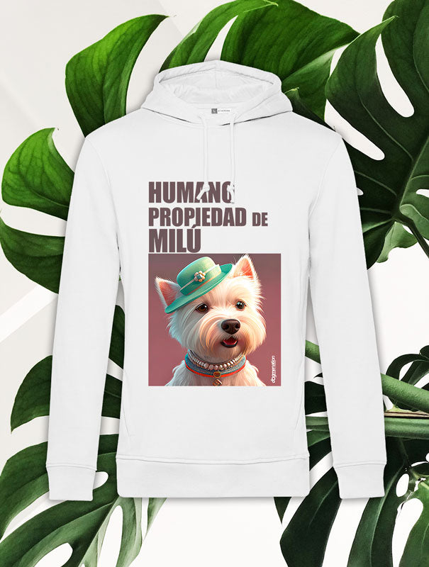 Sudadera Hombre WESTIE B