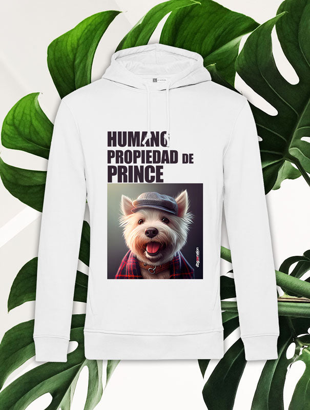 Sudadera Hombre WESTIE C